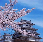 ＜韩国5天＞【惠游首尔】首尔+南怡岛 5天4晚品质团