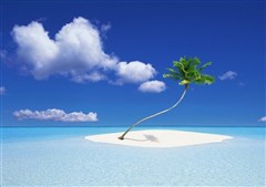 《海南4天游》海景大别墅 博鳌往返4天