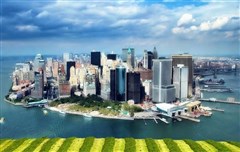 （美国15日）东西海岸(大瀑布/多伦多)+夏威夷全景15-16天（特惠团）