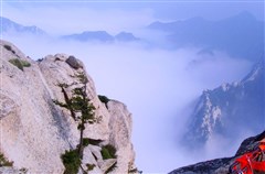 （湖南湖北连游专列）寻梦太极武当山、金戈铁马赤壁场湖南湖北专列8天尊享游