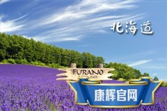 【日本6日】《极尚轻奢镰仓》本州双温泉双古都箱根镰仓万豪轻奢和悦纯玩6天游