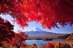 （日本6日）日本本州魅力双古都尊享6日游