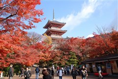 （日本定制自由行）大阪5天4晚自由行（可单订机票+可订三人间+两人预订赠送随身WiFi一台+可选全国出发）