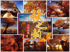 （额济纳6天）金梦胡杨•额济纳旗纯玩 双飞6天 升级2晚景区酒店+1晚湖景房