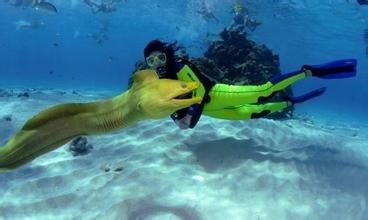 海南潜水攻略，海南潜水注意事项有哪些？