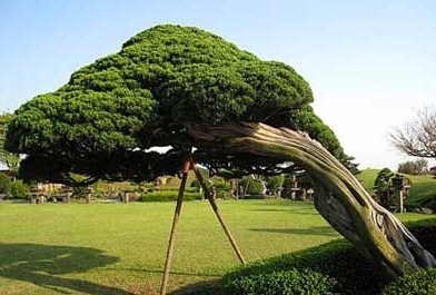 日本韩国