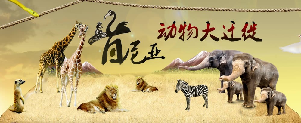 肯尼亚