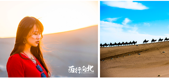 QQ图片20170719112851.png