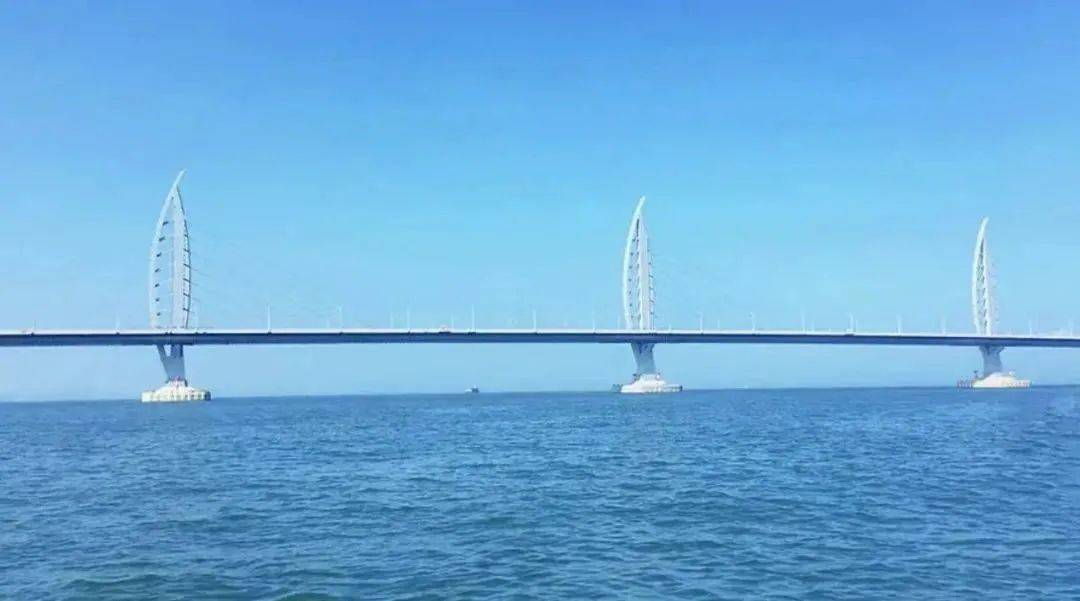 74e176cbe0a84d3681445c27e2e899d7.jpeg