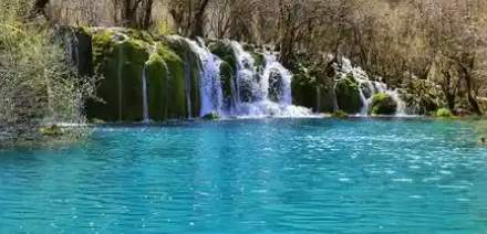 【四川6日游】成都-熊猫乐园-九寨沟-黄龙-若尔盖草原-花湖-黄河九曲第一湾 桃坪羌寨-自由行  双飞6天5晚纯玩游