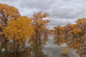 【新疆8日游】南疆【帕米尔狂想曲 1千零1夜3飞8日】0 6购物0自费· 小火车穿胡杨林+旅拍