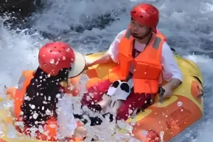 【清远2天游】玄真经典漂+溪降畅玩线、轻奢营地自助烤肉+啤酒鸡尾酒任喝+水上高尔夫+天幕 轰趴+烟花晚会、健儿卡丁车、住海源商务酒店二天团