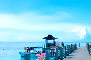 【斯里兰卡8日游】斯里兰卡 8 天 6 晚(寻梦锡兰)
