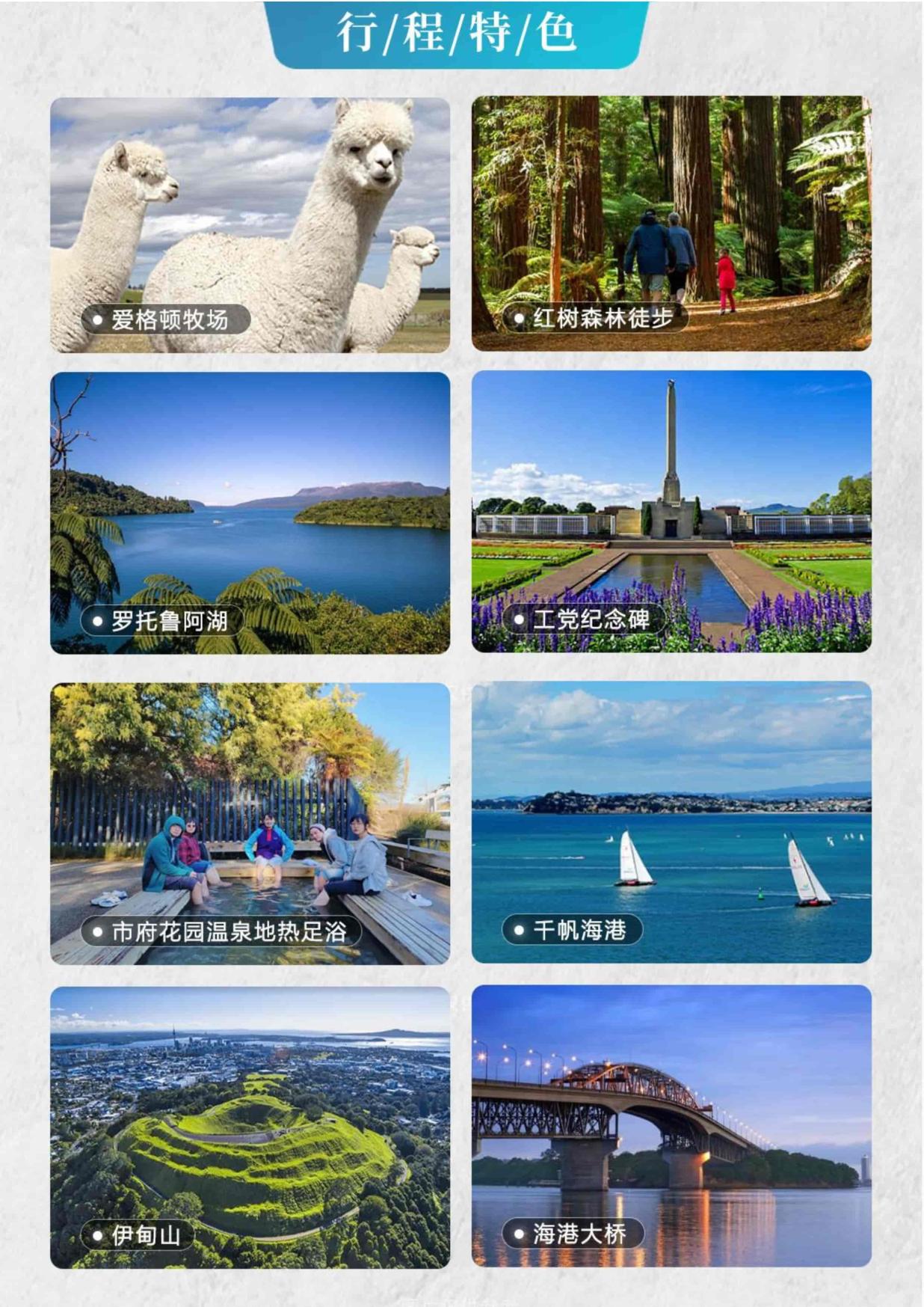 8_聚划算  一价全含 无购物 澳大利亚新西兰10日 MEL  SYD